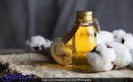 تاثیر نوعی روغن در کم کردن کلسترول بد خون